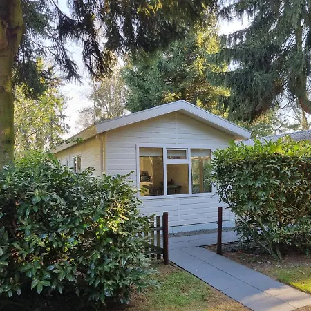 Chalet Ruim En Fris Chalet Aan De Bosrand Voorthuizen